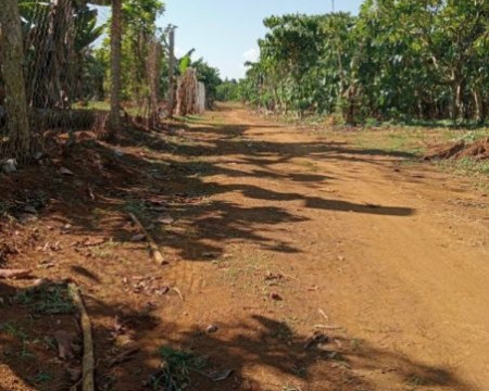 Bán lô đất mặt đường thôn 2, Tân Lạc, Bảo Lâm, Lâm Đồng (full thổ cư) Bán lô đất mặt đường thôn 2, Tân Lạc, Bảo Lâm, Lâm Đồng (full thổ cư)