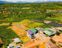 Kinh nghiệm mua đất nền thị trường Bảo Lộc từ dân địa phương Kinh nghiệm mua đất nền thị trường Bảo Lộc từ dân địa phương