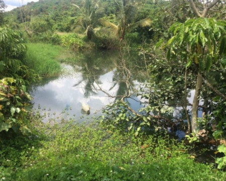 Bán lô đất 1 hecta (1000m2) tại đường Đức Giang 1, Lộc Đức, Bảo Lâm, Lâm Đồng Bán lô đất 1 hecta (1000m2) tại đường Đức Giang 1, Lộc Đức, Bảo Lâm, Lâm Đồng
