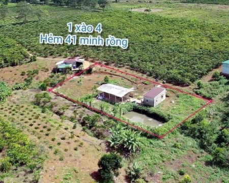 1400m2 hẽm 41 Lạc Long Quân, Lộc Thắng, Bảo Lâm, Lâm Đồng. 1400m2 hẽm 41 Lạc Long Quân, Lộc Thắng, Bảo Lâm, Lâm Đồng.
