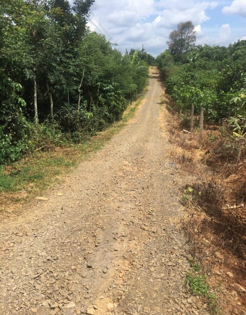 Bán lô đất 1 hecta (1000m2) tại đường Đức Giang 1, Lộc Đức, Bảo Lâm, Lâm Đồng
