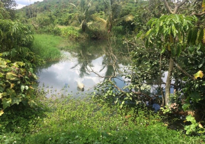 Bán lô đất 1 hecta (1000m2) tại đường Đức Giang 1, Lộc Đức, Bảo Lâm, Lâm Đồng